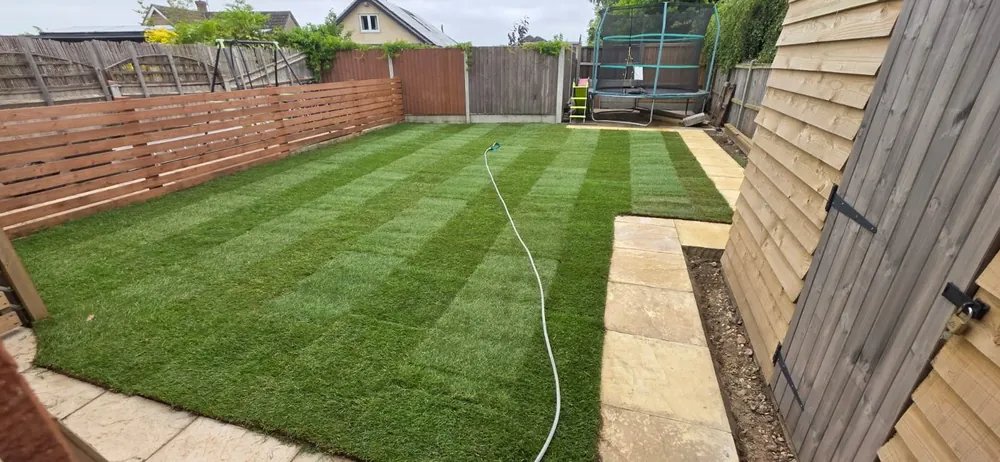 Striped lawn after installation