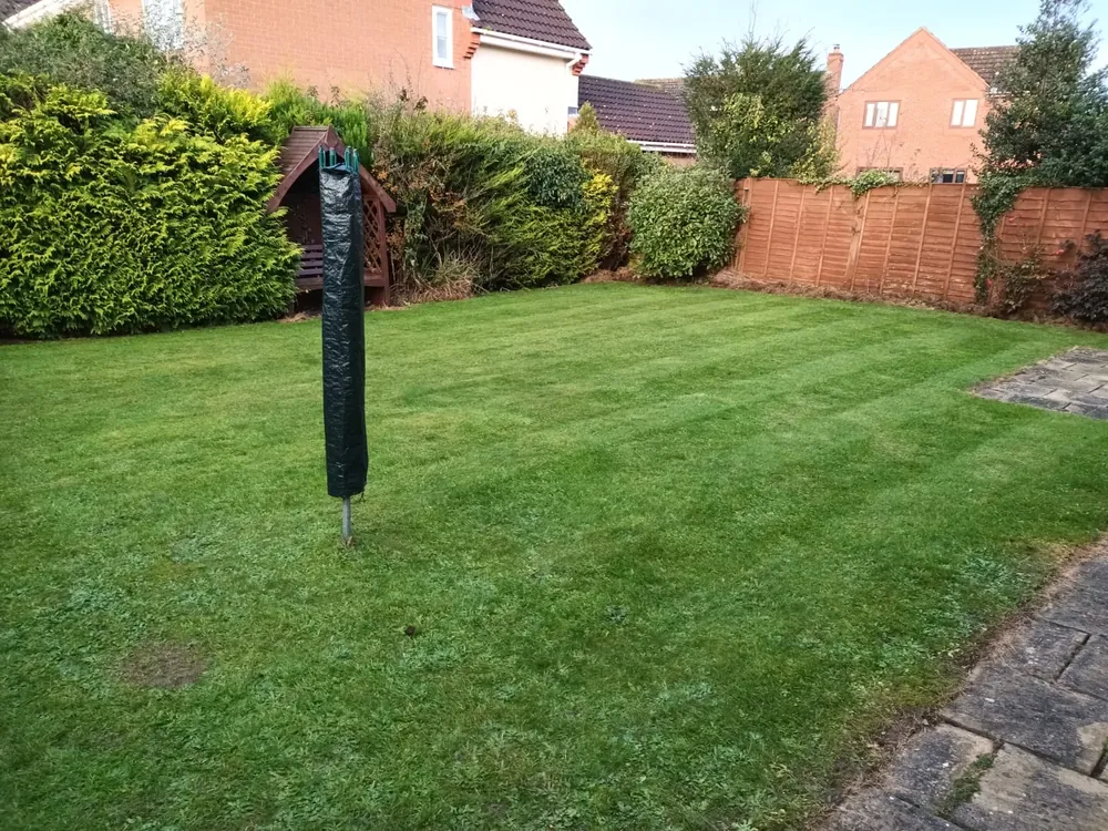 A new lawn laid in a hedged Norwich back garden