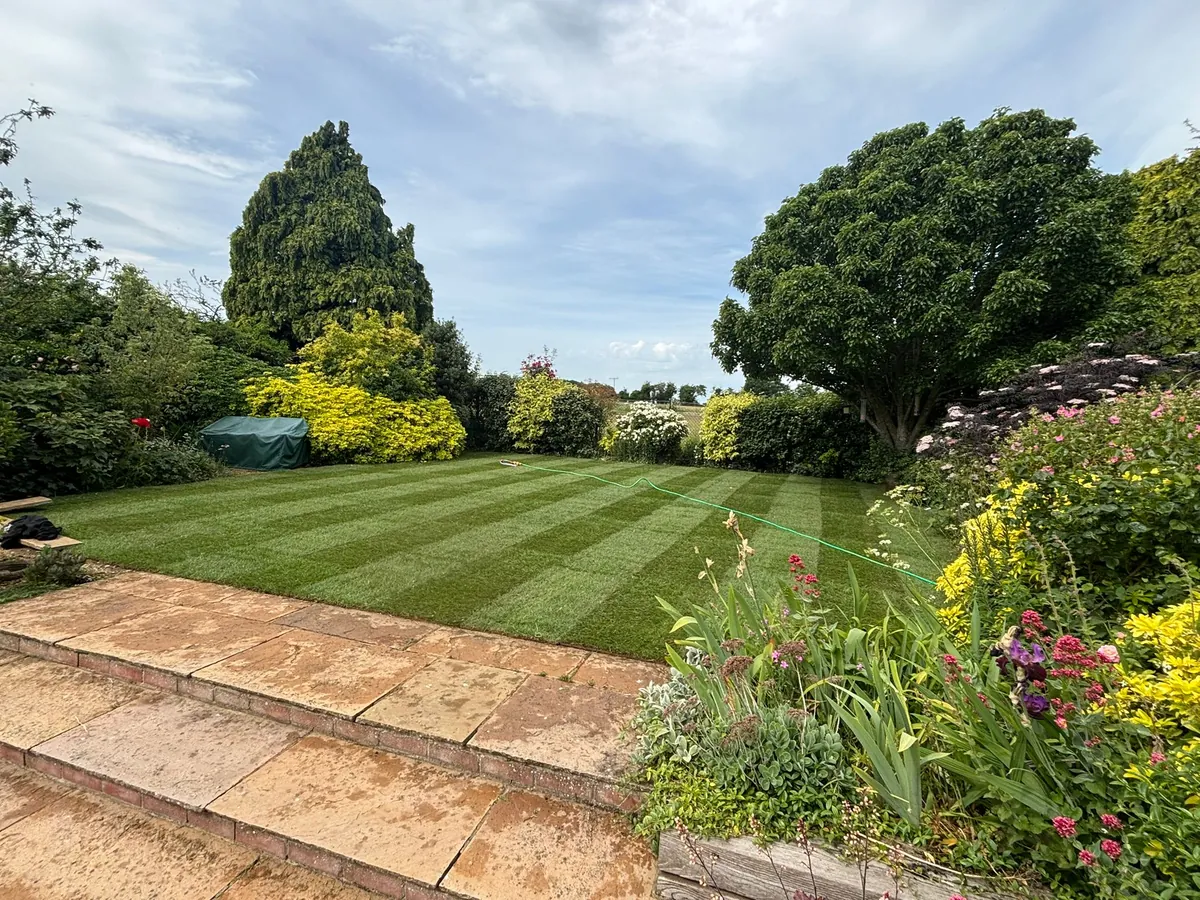 A newly striped lawn with flower borders and patio steps in Norfolk
